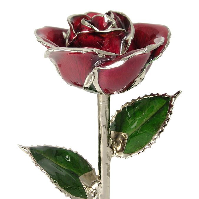  Flower Bloom rose gift bundal