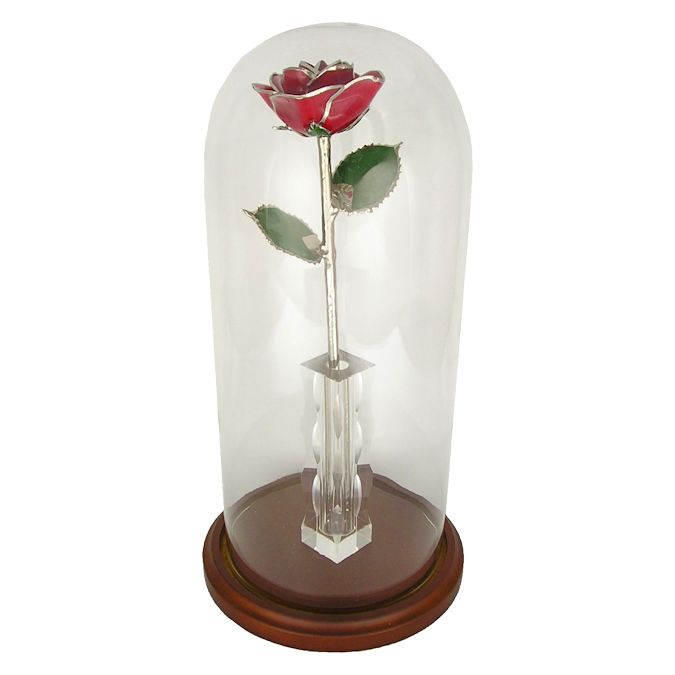  Flower Bloom rose gift bundal