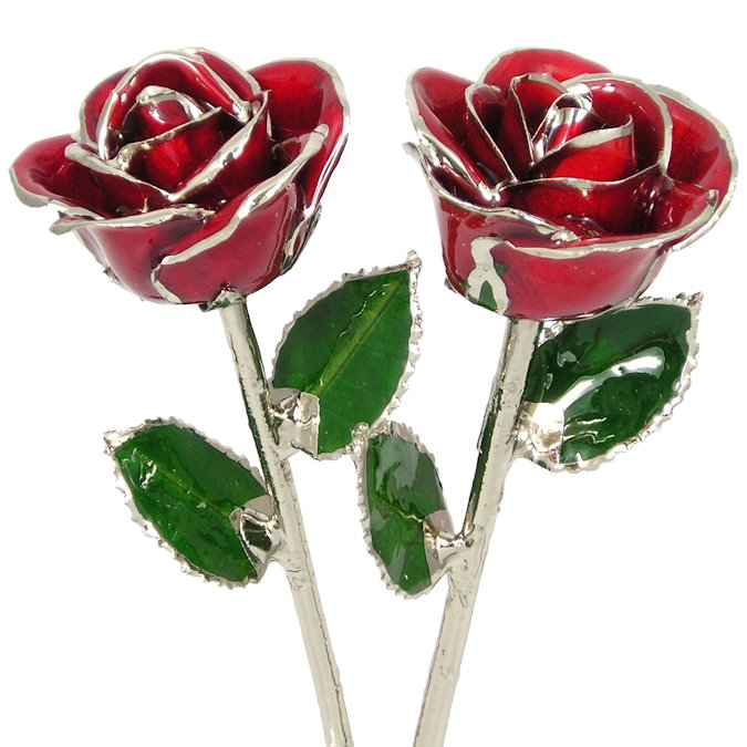  Flower Bloom rose gift bundal