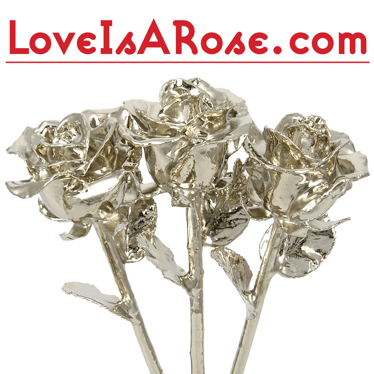 Real Platinum Roses: Platinum-Dipped Roses