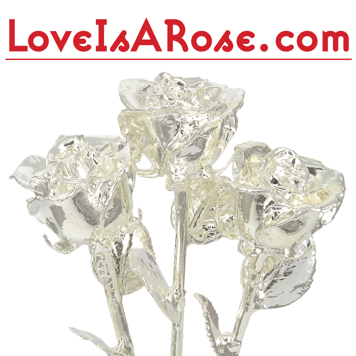 SILVER-ROSE / 薔薇  デモテープ SILVER-ROSE / 薔薇 デモテープ Yahoo!オークション -「silver