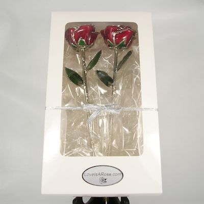 White Window Gift Box 2 Roses