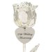25th Anniversary Silver Dipped Rose