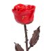 7th Anniversary Copper Rose