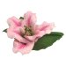 Porcelain Lily