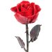 Red Copper Rose