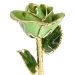 24k Gold Trimmed Light Green Rose