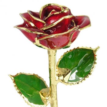 24k Gold Dipped Roses