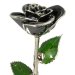 Platinum Trimmed Black Rose