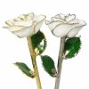 Birthday Roses