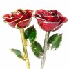 Birthday Roses