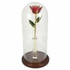 Enchanted Roses