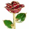 Gold Trimmed Roses