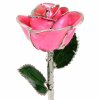Platinum Trimmed Roses