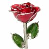 Silver Trimmed Roses