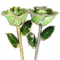 Birthday Roses