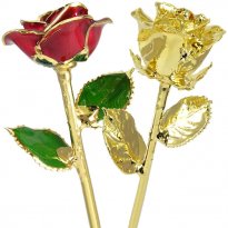 24k Gold Roses