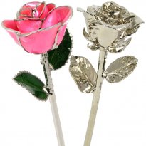 Platinum Roses