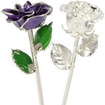 Sterling Silver Roses
